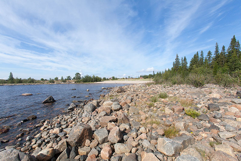 Sommarens första algblomningar i Norrbotten