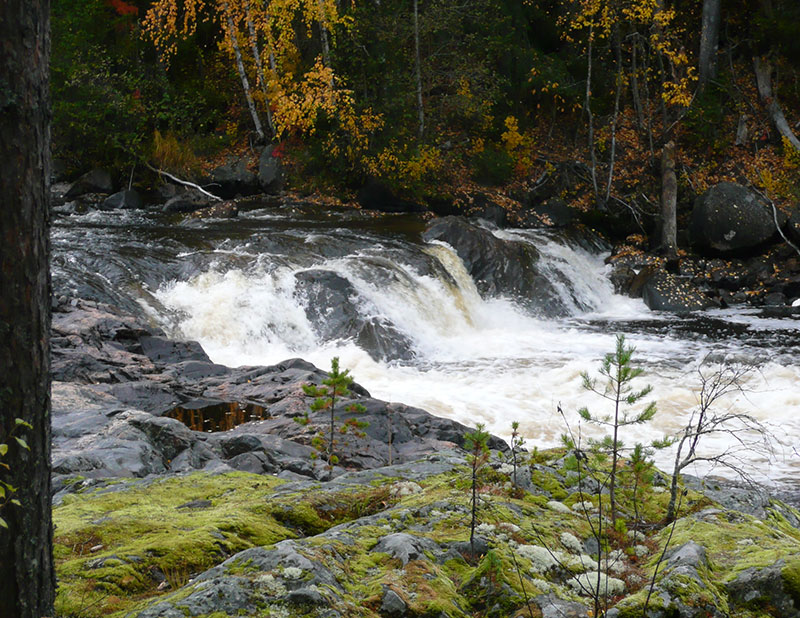 The Åby River Trail, Skellefteå