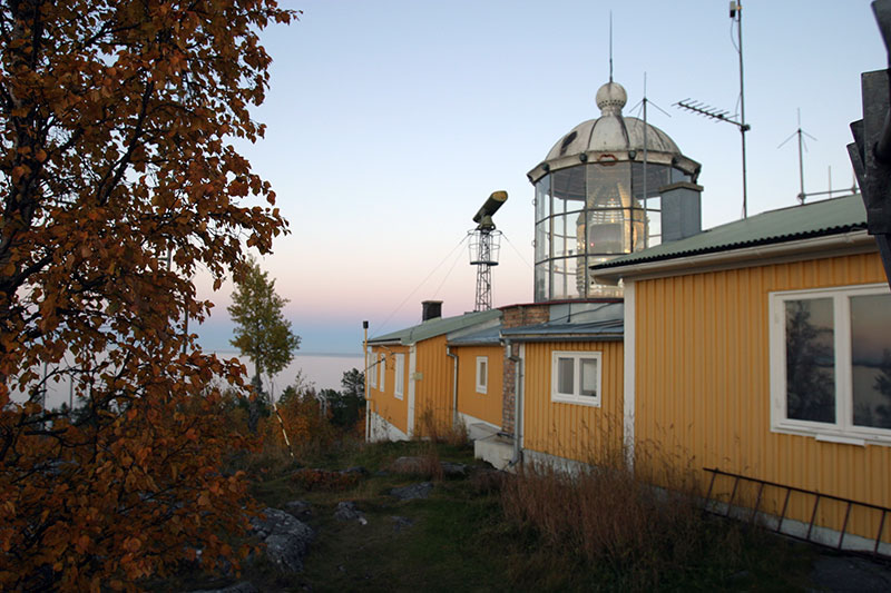 Bjuröklubb Skellefteå