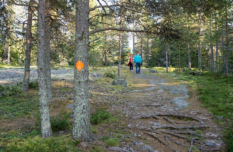 The Nature Trail of Kluntarna, Luleå
