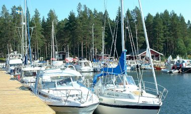 Svinöra i Piteå skärgård