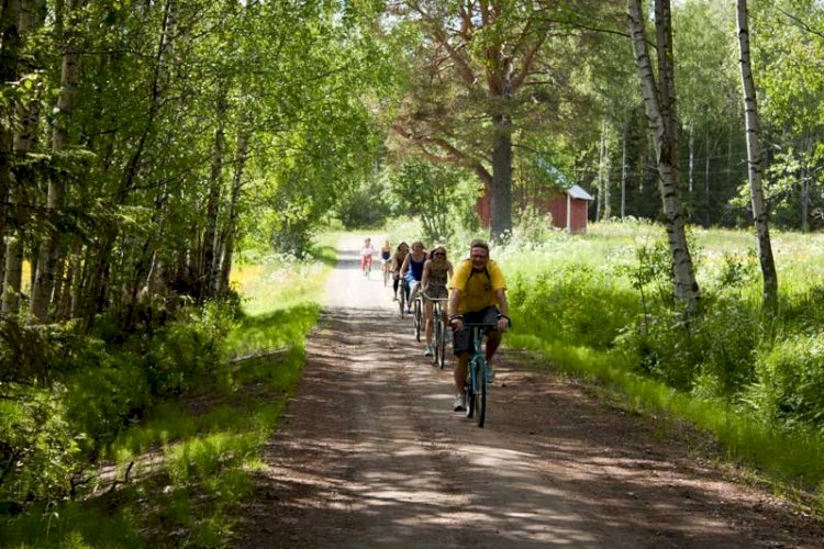 Vilken ö är den största i hela Bottenviken?