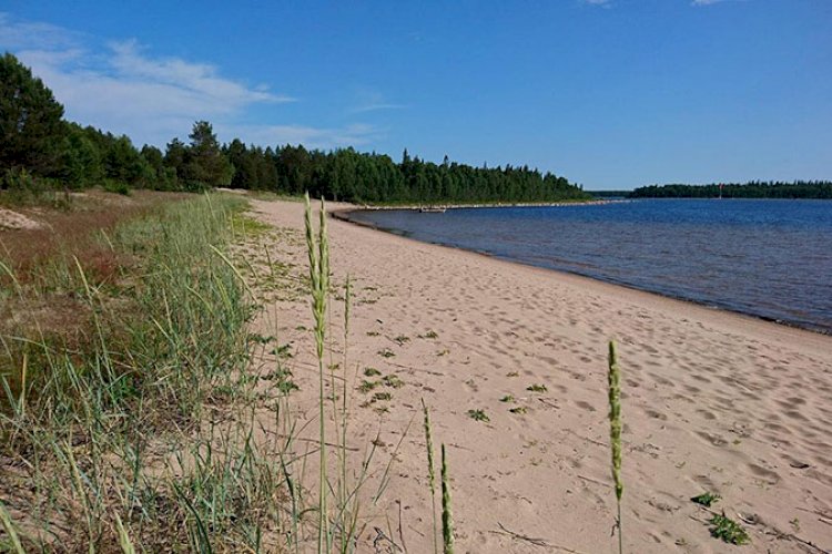 Robinson 2021 spelades in på två öar i Kalix och Haparanda skärgård. Vilken ö är inte ”Robinson ö”?
